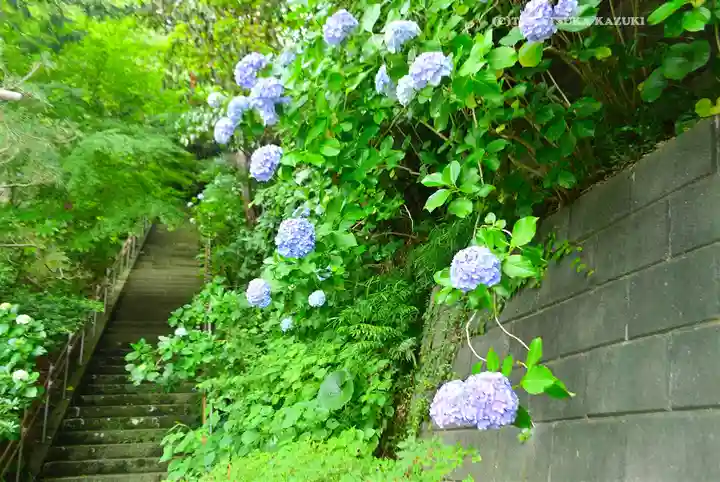岩殿寺(神奈川県)