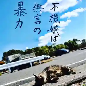 専念寺(大阪府)(2021年05月18日(火) 14時50分21秒投稿)