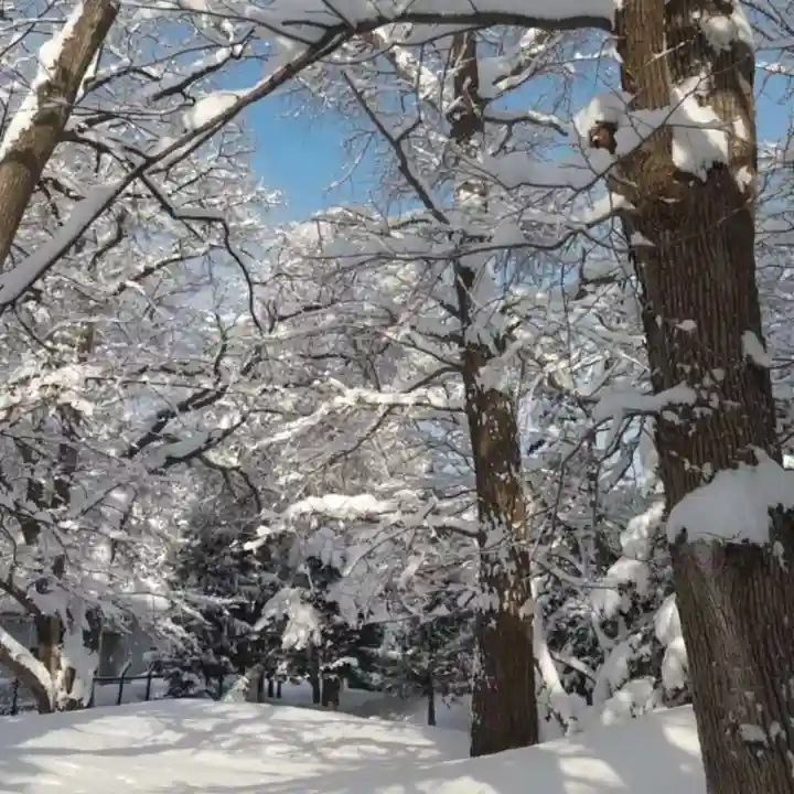 彌彦神社 (伊夜日子神社)の自然