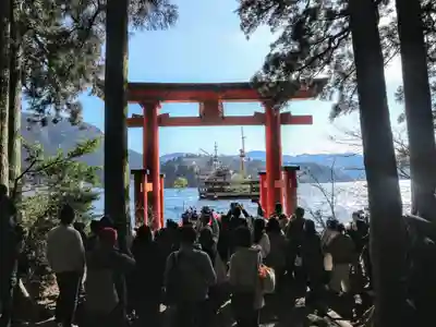 箱根神社の鳥居