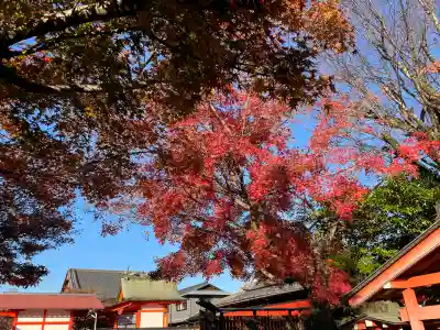 車折神社の{uncategorized: "未分類", other: "その他", undefined: "問題あり", building: "その他建物", grave: "お墓", sacred_gate: "鳥居", guardian: "狛犬", statue: "像", buddha: "仏像", history: "歴史", nature: "自然", garden: "庭園", animal: "動物", pagoda: "塔", temizu: "手水舎", mountain_gate: "山門・神門", sanctuary: "本殿・本堂", subordinate: "末社・摂社", art: "芸術", scenery: "景色", jizo: "地蔵", ema: "絵馬", goshuin: "御朱印", omikuji: "おみくじ", items: "授与品その他", amulet: "お守り", goshuincho: "御朱印帳", eats: "食事", festival: "お祭り", votive_dance: "神楽", shichigosan: "七五三参", wedding: "結婚式", experience: "体験その他", initially: "初詣", around: "周辺", anti_infection: "感染症対策"}