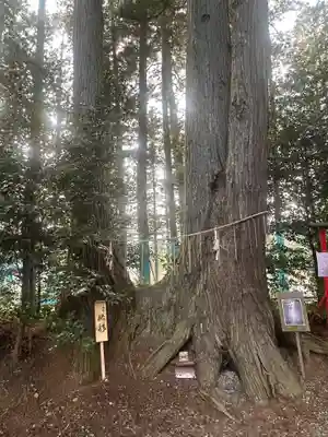 坪沼八幡神社(宮城県)