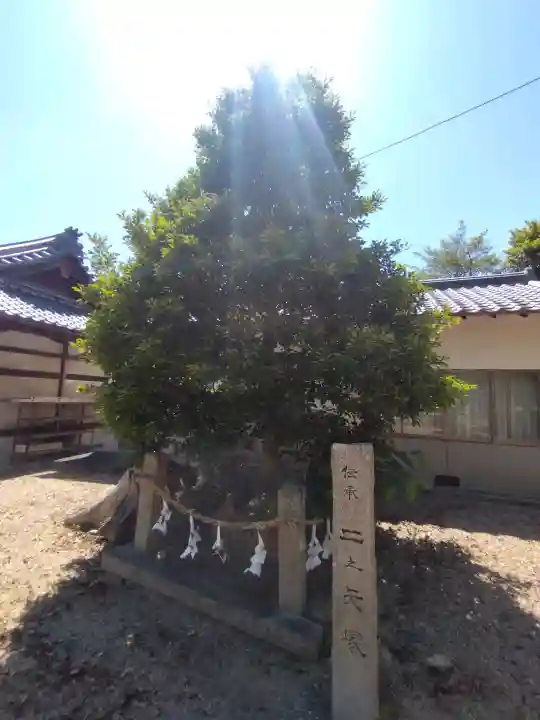 矢田坐久志玉比古神社の{uncategorized: "未分類", other: "その他", undefined: "問題あり", building: "その他建物", grave: "お墓", sacred_gate: "鳥居", guardian: "狛犬", statue: "像", buddha: "仏像", history: "歴史", nature: "自然", garden: "庭園", animal: "動物", pagoda: "塔", temizu: "手水舎", mountain_gate: "山門・神門", sanctuary: "本殿・本堂", subordinate: "末社・摂社", art: "芸術", scenery: "景色", jizo: "地蔵", ema: "絵馬", goshuin: "御朱印", omikuji: "おみくじ", items: "授与品その他", amulet: "お守り", goshuincho: "御朱印帳", eats: "食事", festival: "お祭り", votive_dance: "神楽", shichigosan: "七五三参", wedding: "結婚式", experience: "体験その他", initially: "初詣", around: "周辺", anti_infection: "感染症対策"}