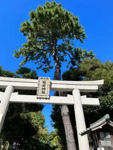 菊田神社の鳥居