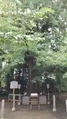 水戸八幡宮の自然