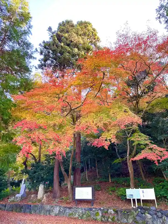 吸湖山 青岸寺(滋賀県)
