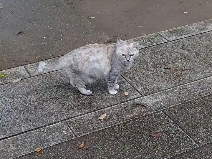 麻賀多神社の動物
