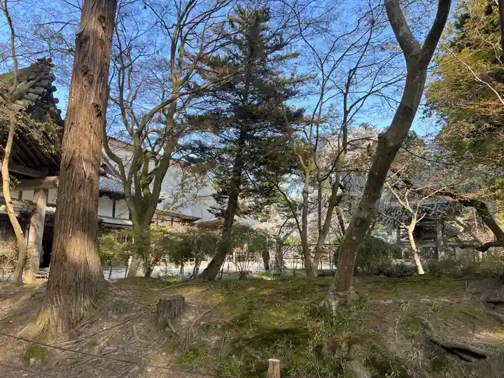 中尊寺(岩手県)