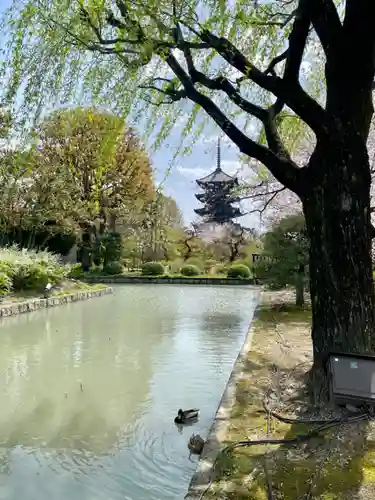 東寺（教王護国寺）の庭園