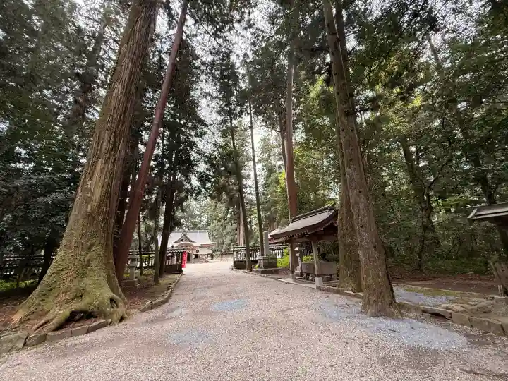 伊和神社の{uncategorized: "未分類", other: "その他", undefined: "問題あり", building: "その他建物", grave: "お墓", sacred_gate: "鳥居", guardian: "狛犬", statue: "像", buddha: "仏像", history: "歴史", nature: "自然", garden: "庭園", animal: "動物", pagoda: "塔", temizu: "手水舎", mountain_gate: "山門・神門", sanctuary: "本殿・本堂", subordinate: "末社・摂社", art: "芸術", scenery: "景色", jizo: "地蔵", ema: "絵馬", goshuin: "御朱印", omikuji: "おみくじ", items: "授与品その他", amulet: "お守り", goshuincho: "御朱印帳", eats: "食事", festival: "お祭り", votive_dance: "神楽", shichigosan: "七五三参", wedding: "結婚式", experience: "体験その他", initially: "初詣", around: "周辺", anti_infection: "感染症対策"}
