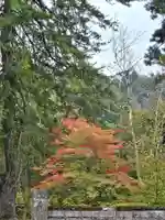 円蔵寺(福島県)