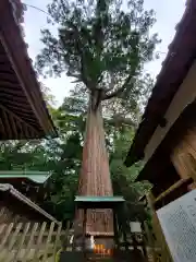 事任八幡宮(静岡県)