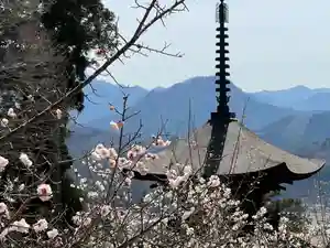 国宝 大法寺のその他建物(2022年04月02日(土) 18時03分31秒投稿)
