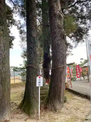赤池神社(宮崎県)