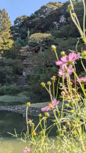 浄瑠璃寺(京都府)