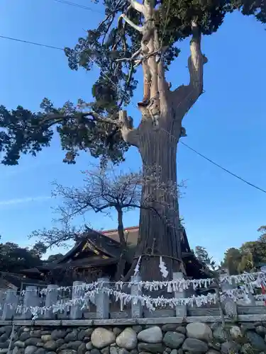 矢奈比賣神社（見付天神）(静岡県)