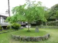 勝手神社(奈良県)