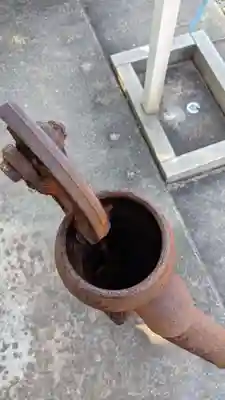 光専寺(愛知県)