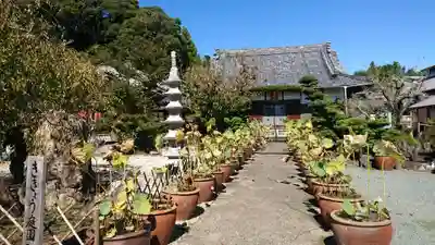 香勝寺のその他建物
