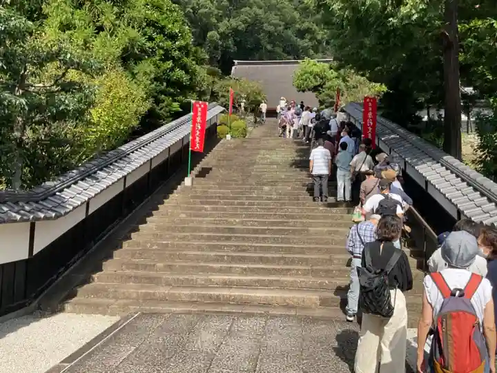 臨済寺のその他建物