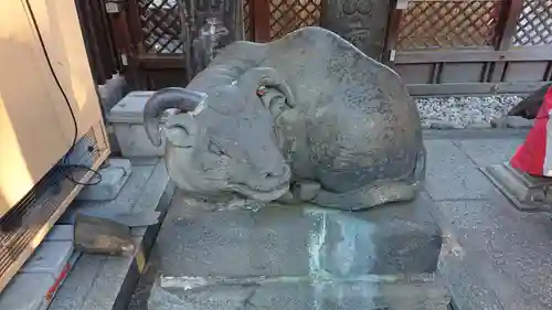 湯島天満宮の狛犬