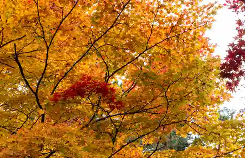 大矢田神社(岐阜県)