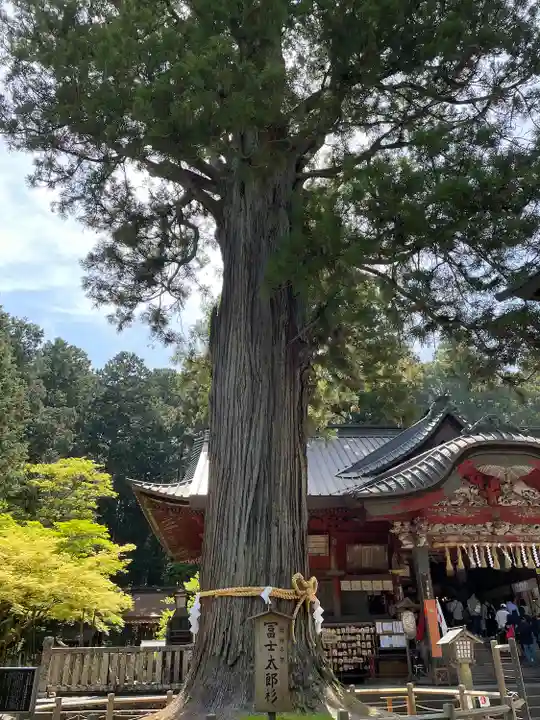 北口本宮冨士浅間神社(山梨県)
