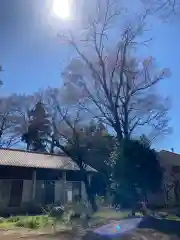 白岡八幡神社(埼玉県)