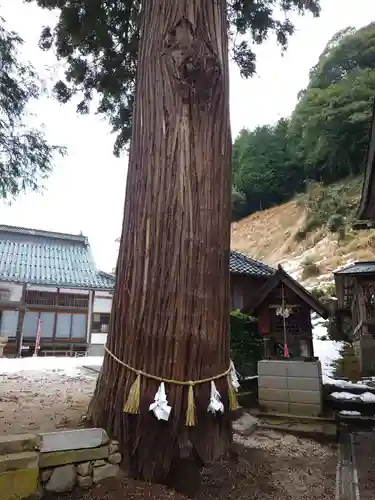 須我神社(島根県)