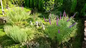 寿量山 速成寺の自然(2020年09月15日(火) 22時02分25秒投稿)