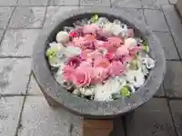 美濃國一宮 南宮大社の手水舎