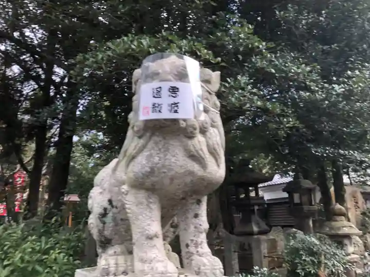 大井神社の狛犬