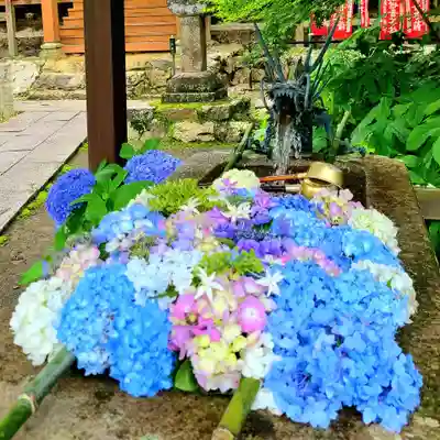 普門寺(切り絵御朱印発祥の寺)(愛知県)