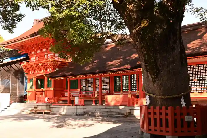 宇佐神宮の本殿・本堂