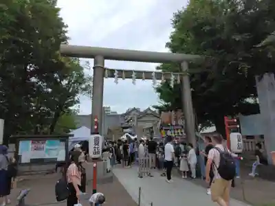 浅草神社の鳥居