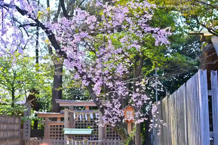伊勢山皇大神宮(神奈川県)