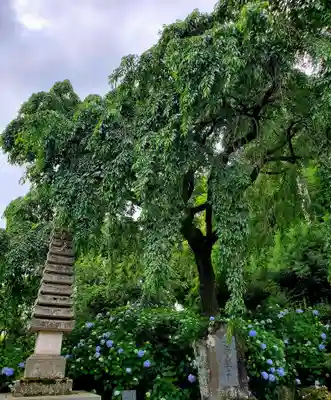 上合寺(福島県)