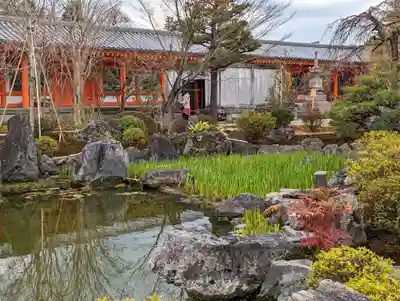 蓮華王院（三十三間堂）(京都府)