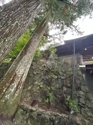 天河大辨財天社(奈良県)