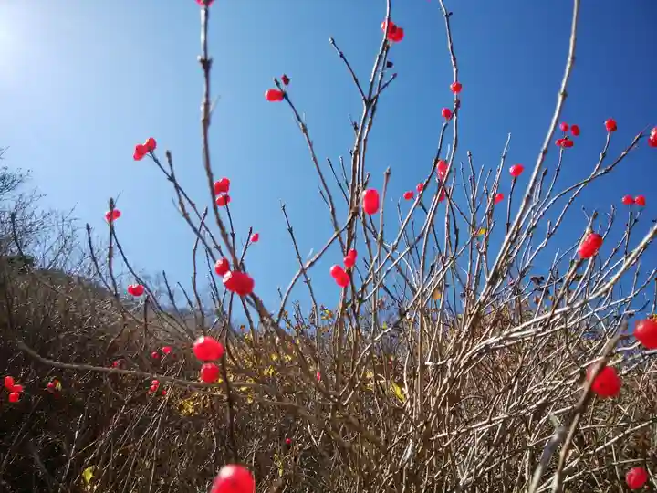 祠(大雪神社奥の院)(北海道)