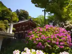 岡寺（龍蓋寺）(奈良県)