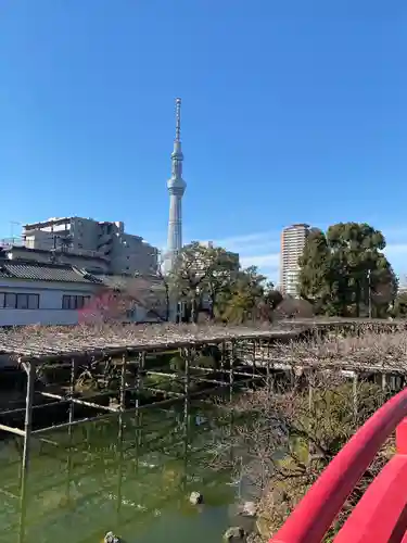 亀戸天神社(東京都)