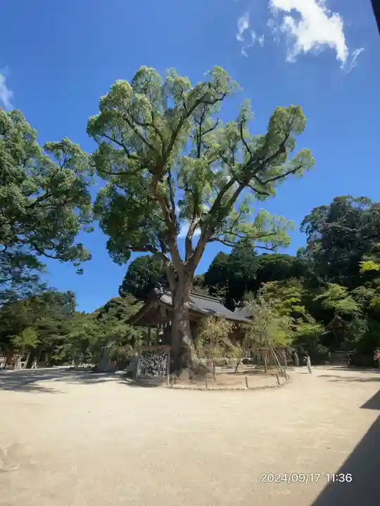宝満宮竈門神社(福岡県)