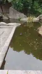 岐阜護國神社の庭園