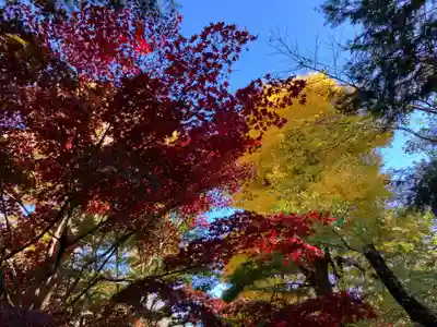淨眞寺(東京都)