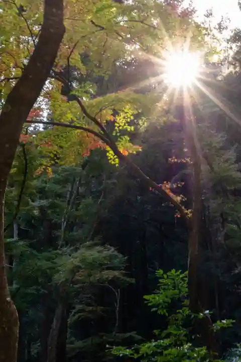 大矢田神社(岐阜県)