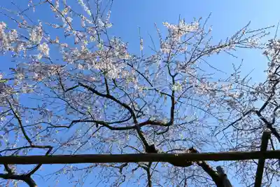 毘沙門堂門跡(京都府)