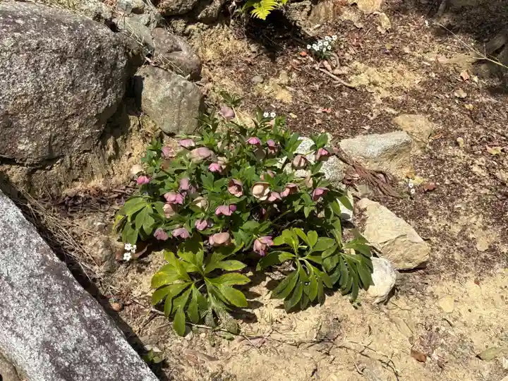 大門寺(大阪府)