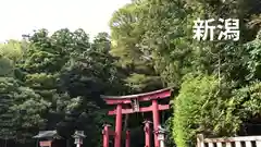 彌彦神社の鳥居