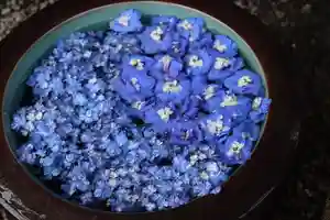 上尾御嶽神社の手水舎(2022年06月05日(日) 15時59分32秒投稿)